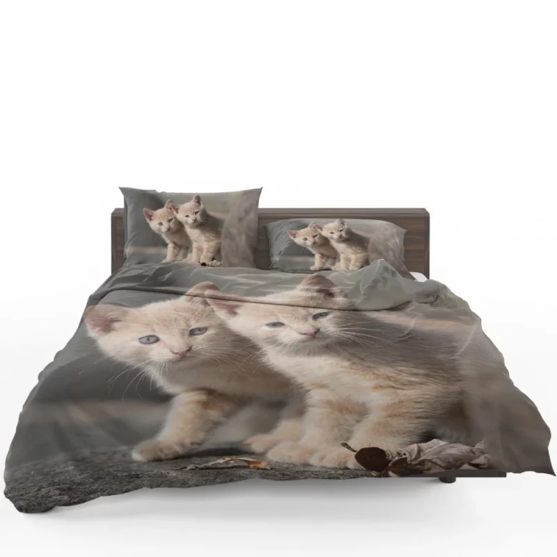 Curious Kitten Cuteness Bedding Set