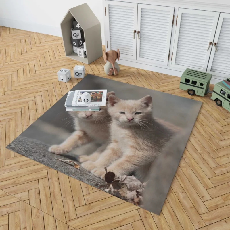 Curious Kitten Cuteness Rug 1