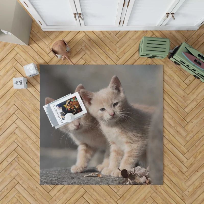 Curious Kitten Cuteness Rug