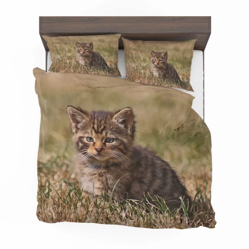 Curious Kitten Innocent Exploration Bedding Set 1