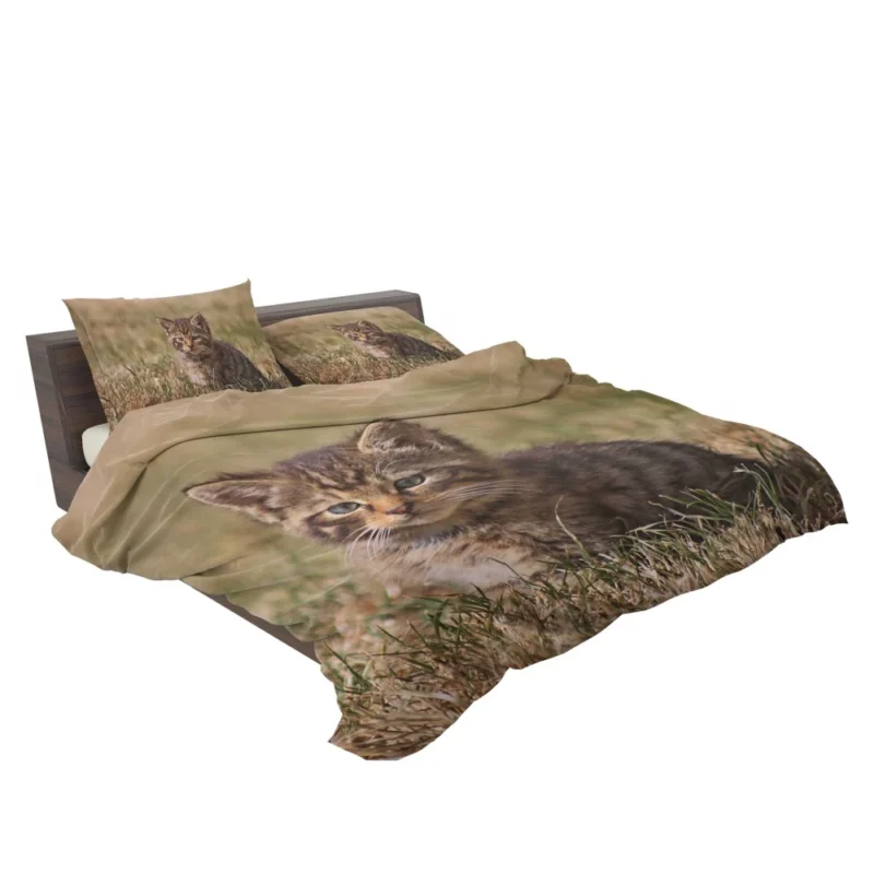 Curious Kitten Innocent Exploration Bedding Set 2