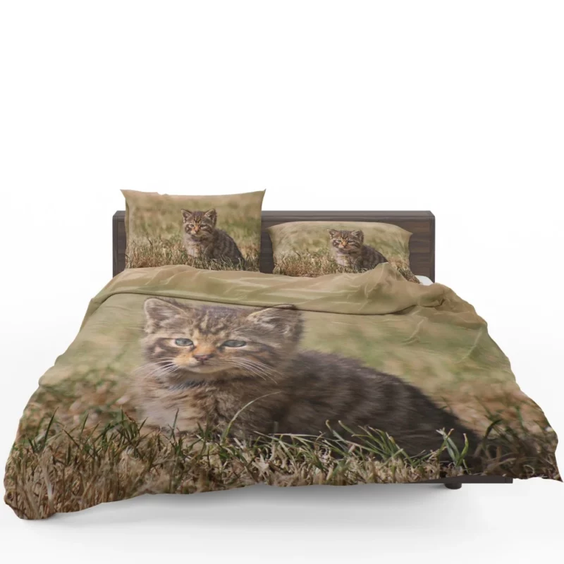 Curious Kitten Innocent Exploration Bedding Set