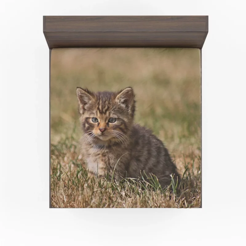 Curious Kitten Innocent Exploration Fitted Sheet 1