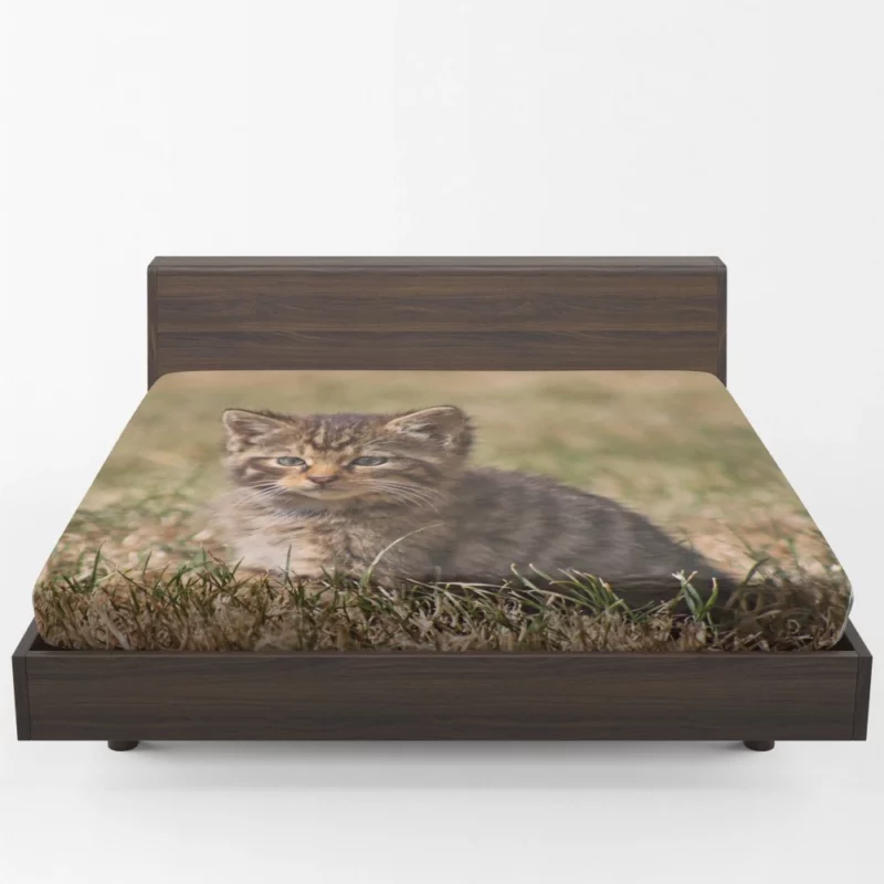 Curious Kitten Innocent Exploration Fitted Sheet