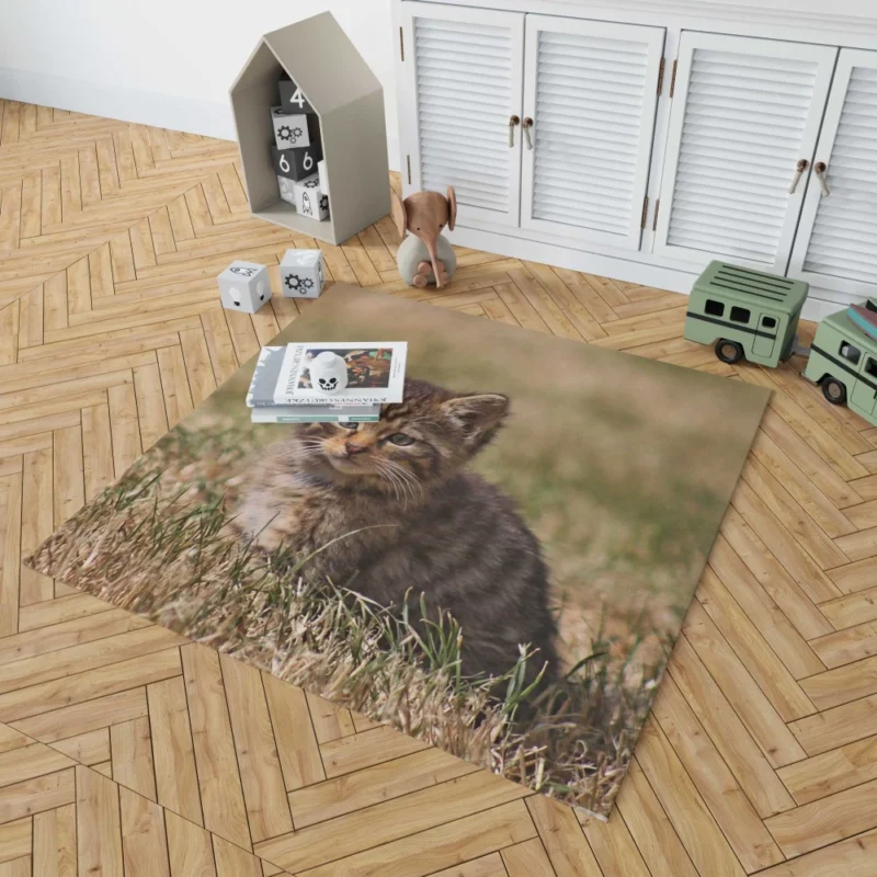 Curious Kitten Innocent Exploration Rug 1