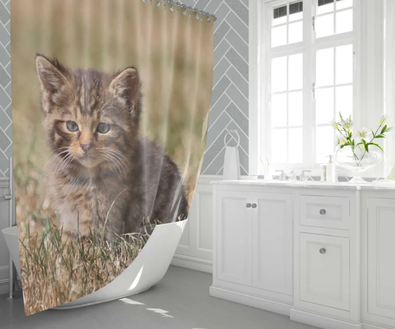 Curious Kitten Innocent Exploration Shower Curtain 1