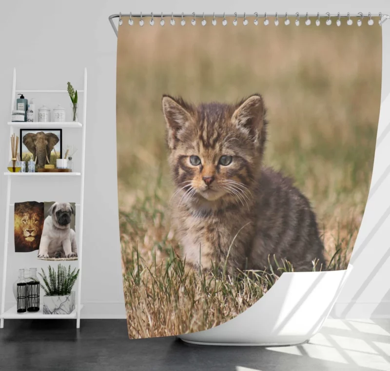 Curious Kitten Innocent Exploration Shower Curtain