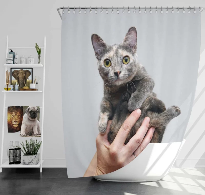 Curious Kitten Innocent Stare Shower Curtain