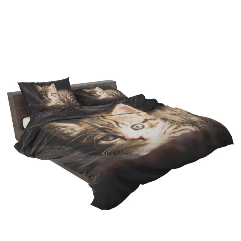 Curious Kitten Mysterious Stare Bedding Set 2