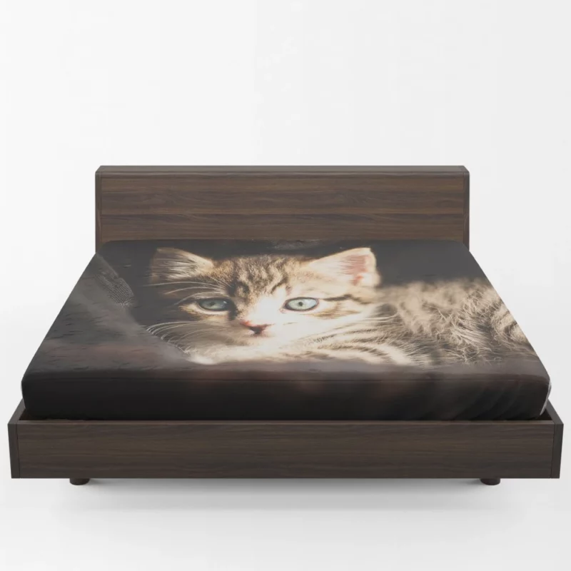 Curious Kitten Mysterious Stare Fitted Sheet