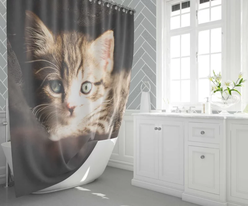 Curious Kitten Mysterious Stare Shower Curtain 1