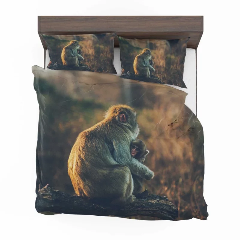 Curious Monkey Primate Wonder Bedding Set 1