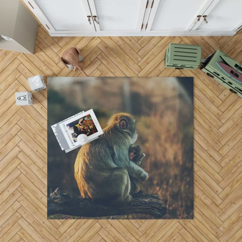 Curious Monkey Primate Wonder Rug