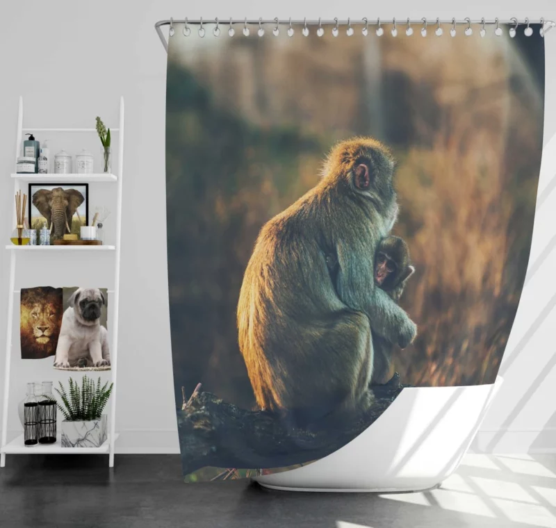 Curious Monkey Primate Wonder Shower Curtain