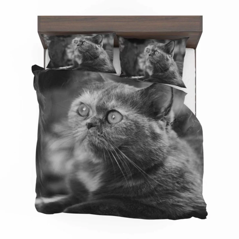 Curious Play Cat Whisker Charm Bedding Set 1