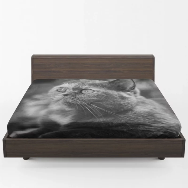 Curious Play Cat Whisker Charm Fitted Sheet