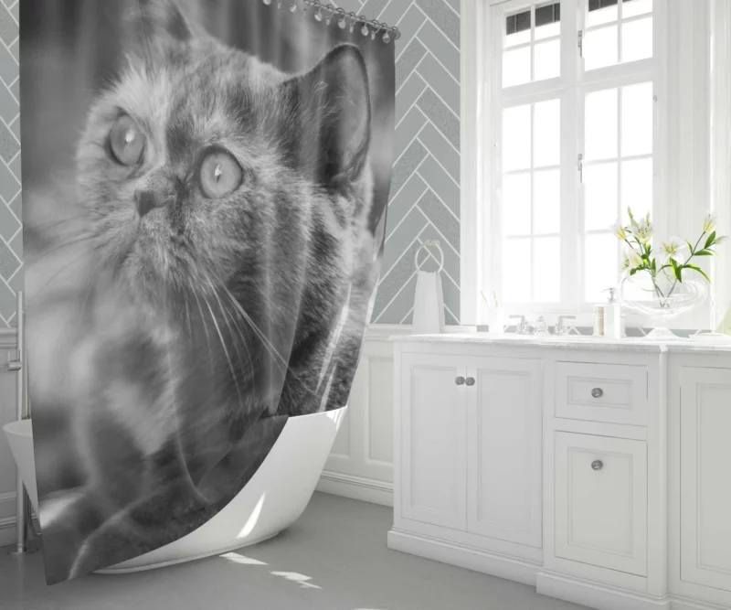 Curious Play Cat Whisker Charm Shower Curtain 1