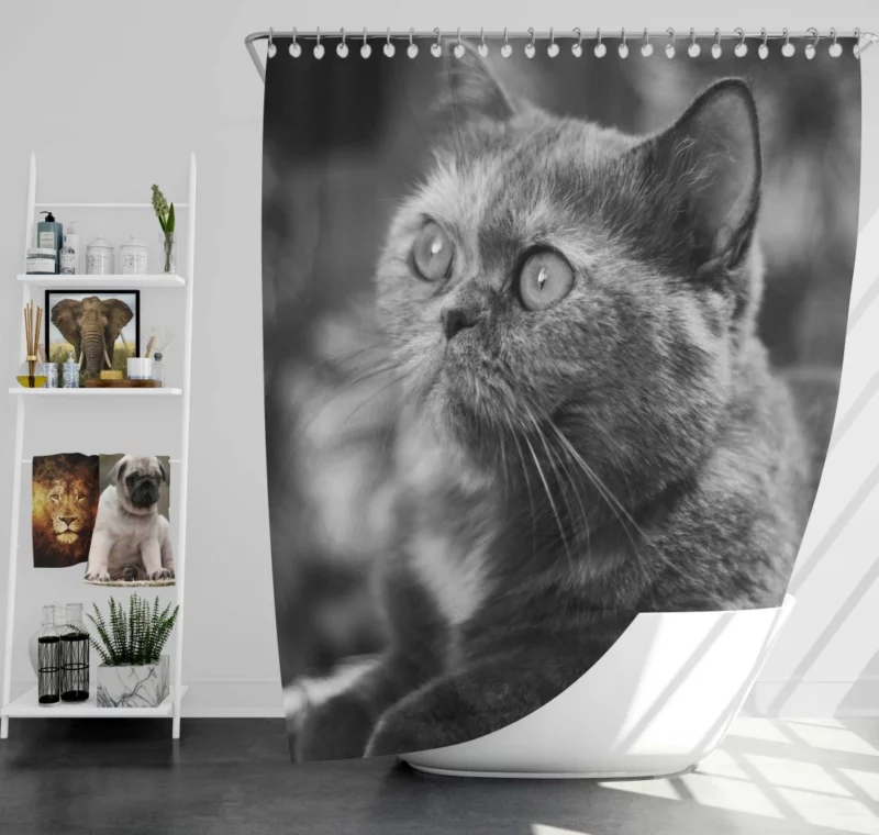 Curious Play Cat Whisker Charm Shower Curtain