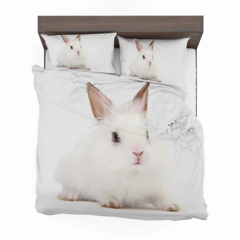 Curious Rabbits Playful Nature Charm Bedding Set 1