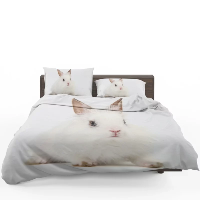 Curious Rabbits Playful Nature Charm Bedding Set