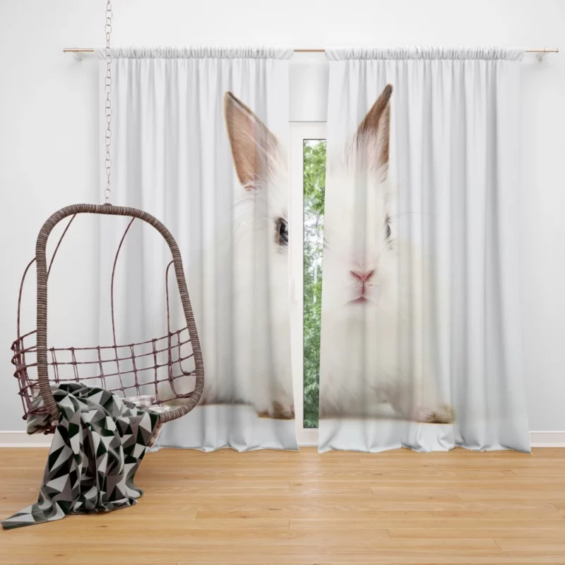 Curious Rabbits Playful Nature Charm Curtain