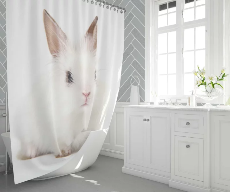 Curious Rabbits Playful Nature Charm Shower Curtain 1