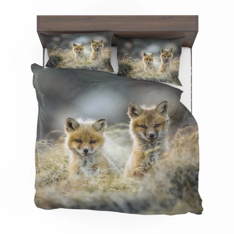 Curious Wilderness Charm Fox Cub Wonder Bedding Set 1