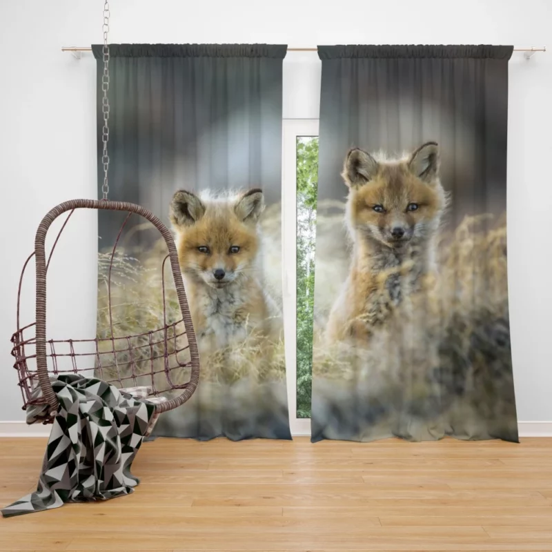 Curious Wilderness Charm Fox Cub Wonder Curtain