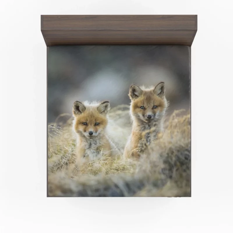 Curious Wilderness Charm Fox Cub Wonder Fitted Sheet 1