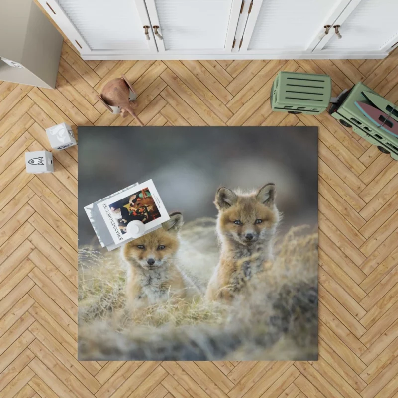 Curious Wilderness Charm Fox Cub Wonder Rug