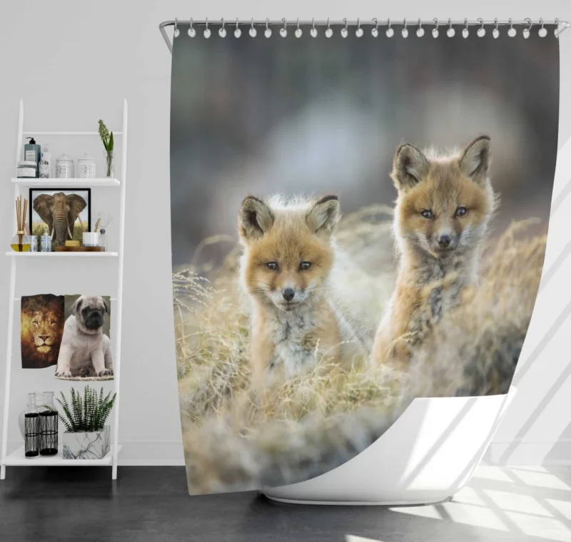 Curious Wilderness Charm Fox Cub Wonder Shower Curtain