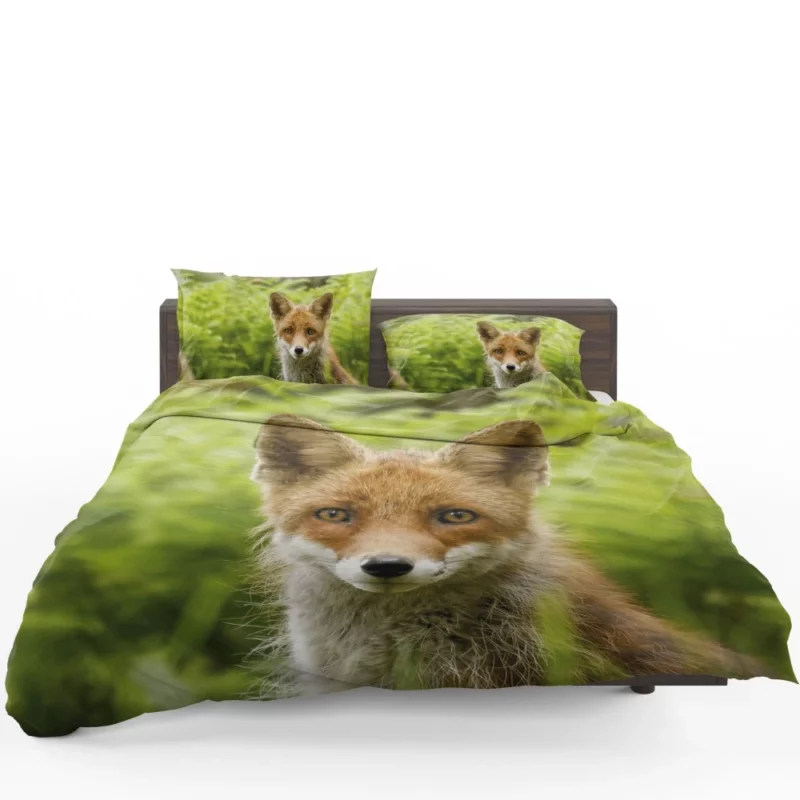 Curious Wilderness Fox Sly Gaze Bedding Set