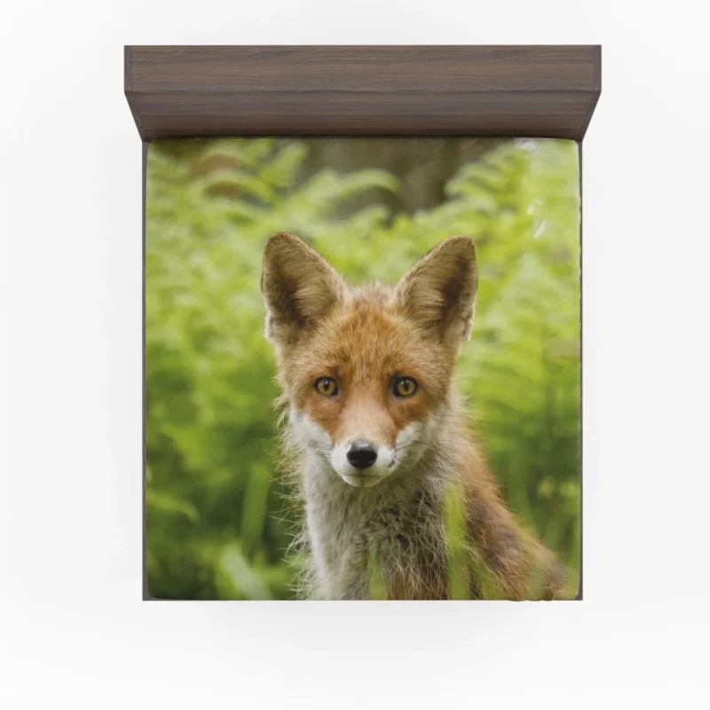 Curious Wilderness Fox Sly Gaze Fitted Sheet 1