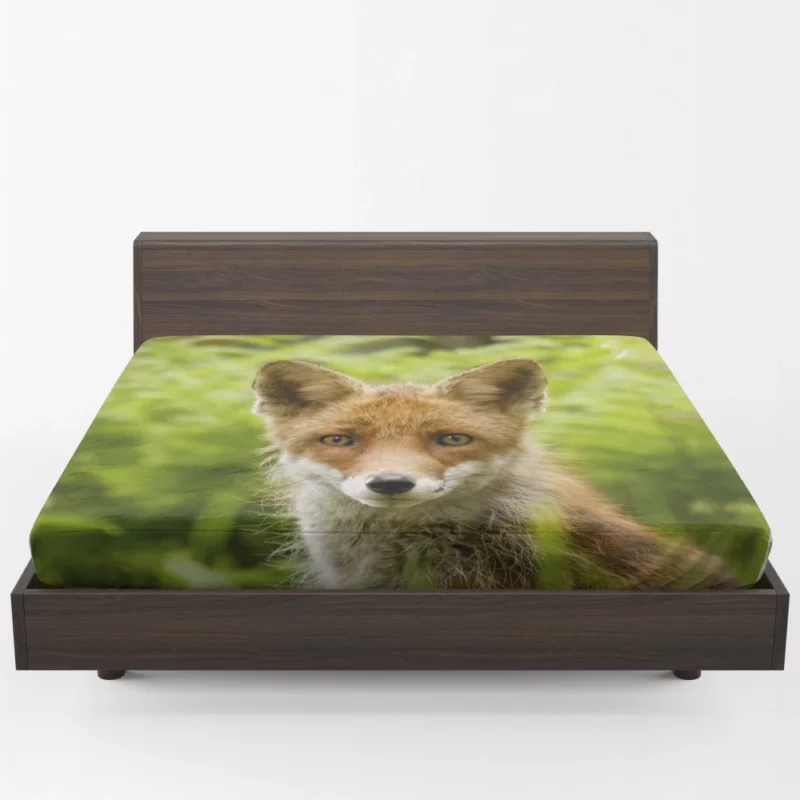 Curious Wilderness Fox Sly Gaze Fitted Sheet