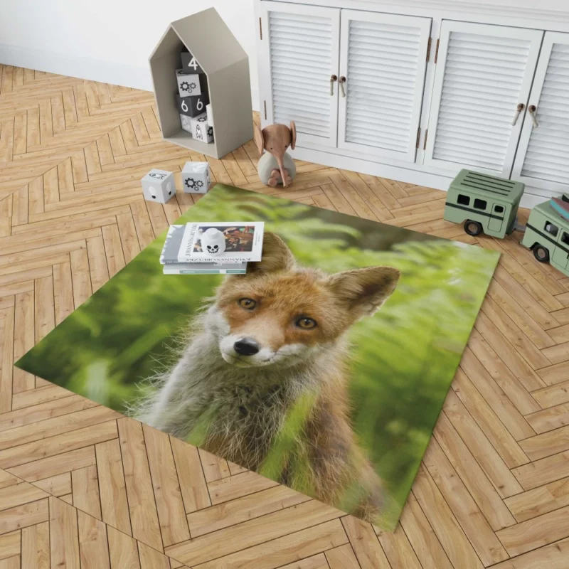 Curious Wilderness Fox Sly Gaze Rug 1