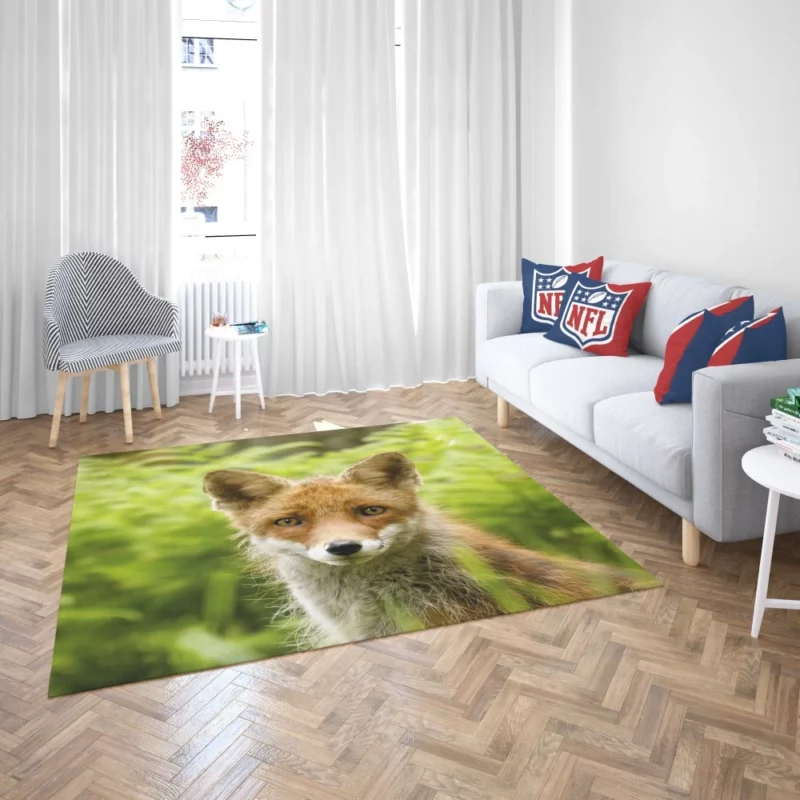 Curious Wilderness Fox Sly Gaze Rug 2