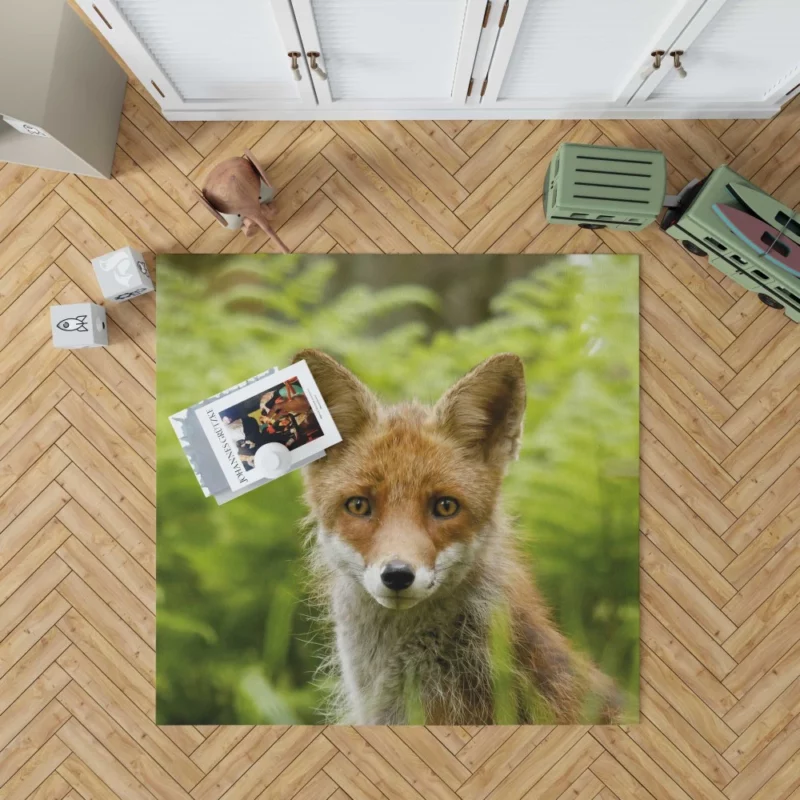 Curious Wilderness Fox Sly Gaze Rug