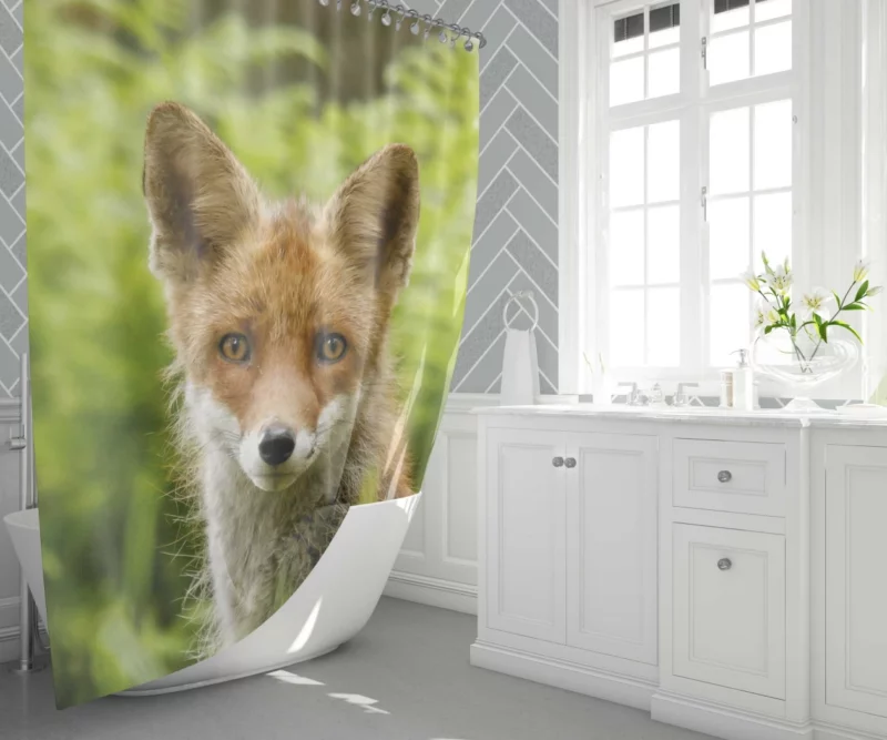 Curious Wilderness Fox Sly Gaze Shower Curtain 1