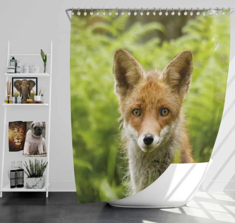 Curious Wilderness Fox Sly Gaze Shower Curtain