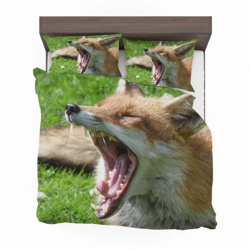 Curious Wilderness Gaze of the Sly Fox Bedding Set 1