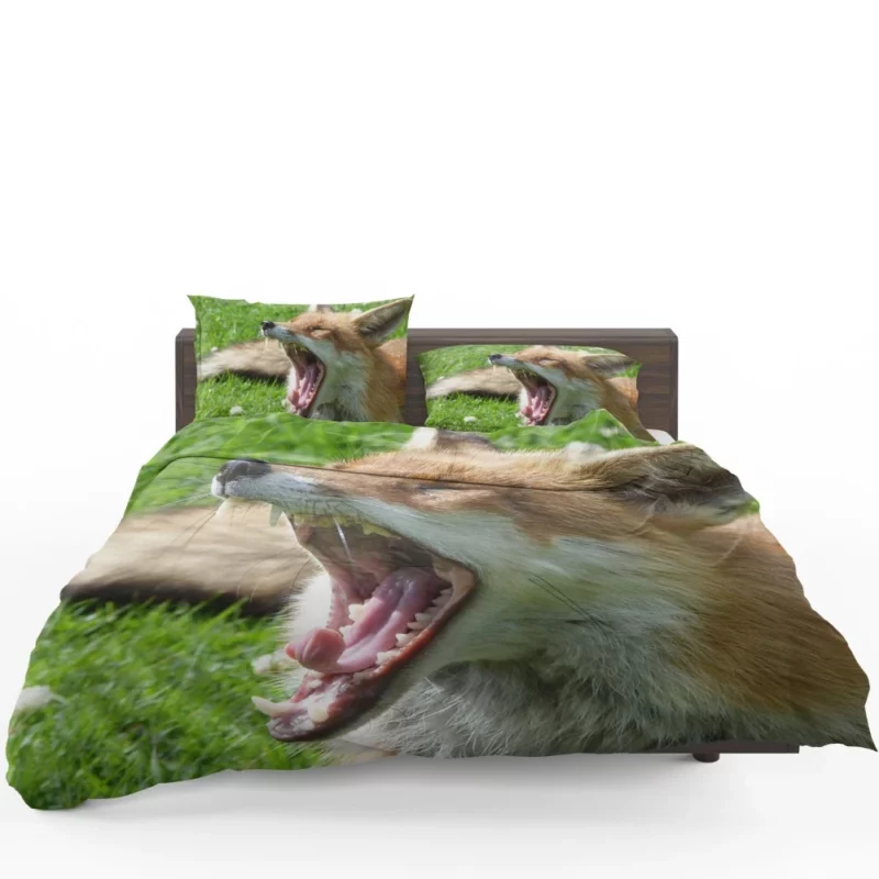 Curious Wilderness Gaze of the Sly Fox Bedding Set