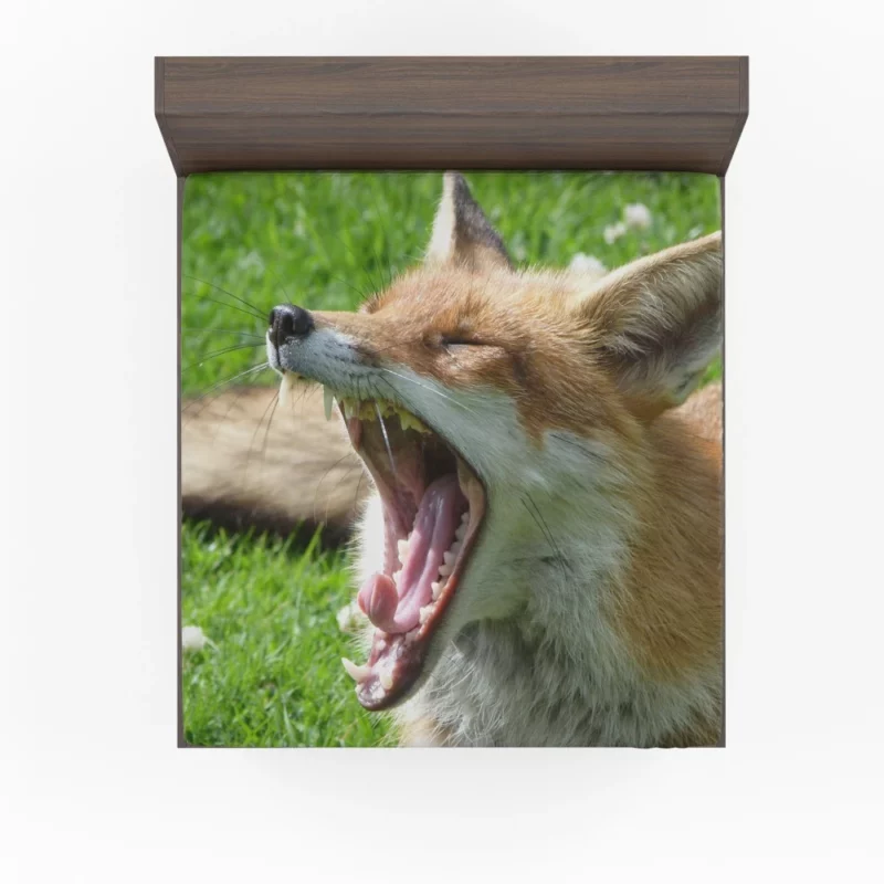 Curious Wilderness Gaze of the Sly Fox Fitted Sheet 1