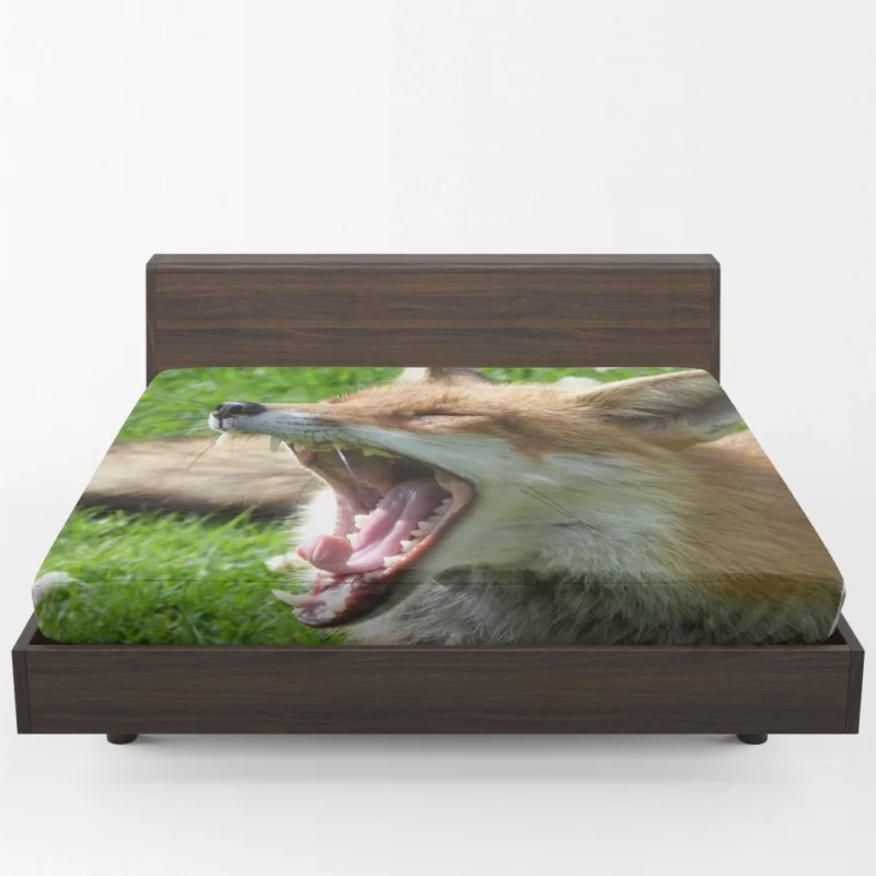 Curious Wilderness Gaze of the Sly Fox Fitted Sheet