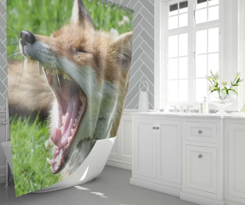 Curious Wilderness Gaze of the Sly Fox Shower Curtain 1