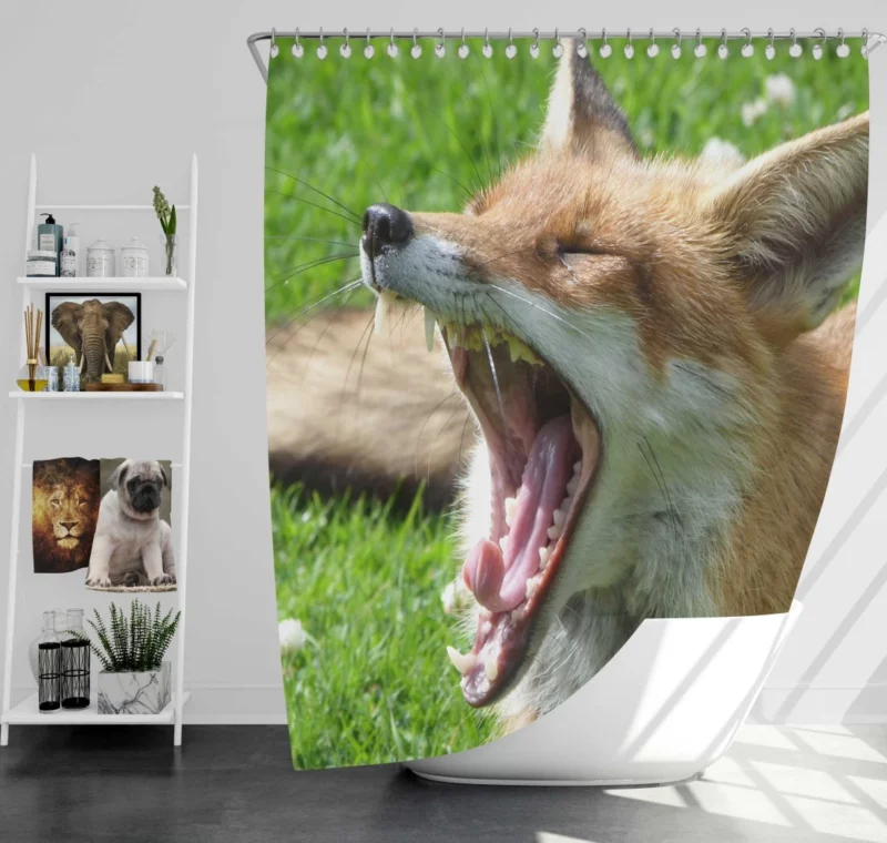 Curious Wilderness Gaze of the Sly Fox Shower Curtain