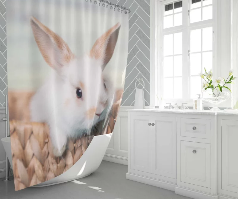 Cute Baby Rabbit Innocent Charm Shower Curtain 1