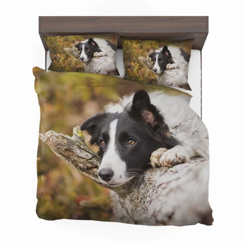 Cute Border Collie Bedding Set 1