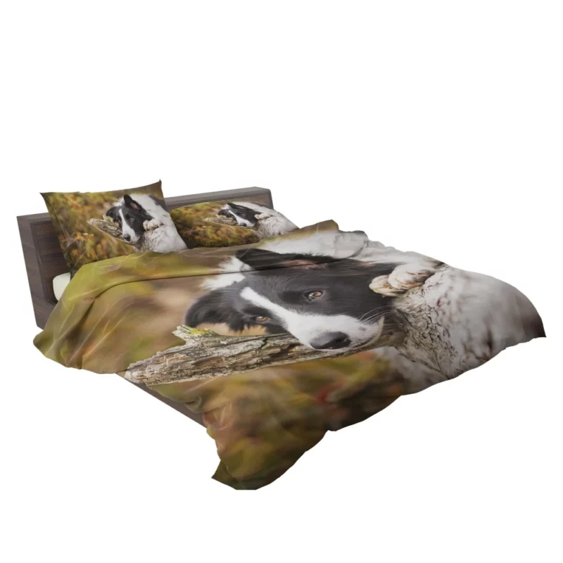 Cute Border Collie Bedding Set 2