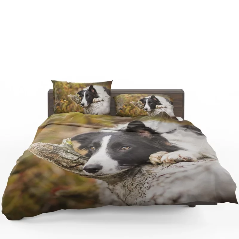 Cute Border Collie Bedding Set