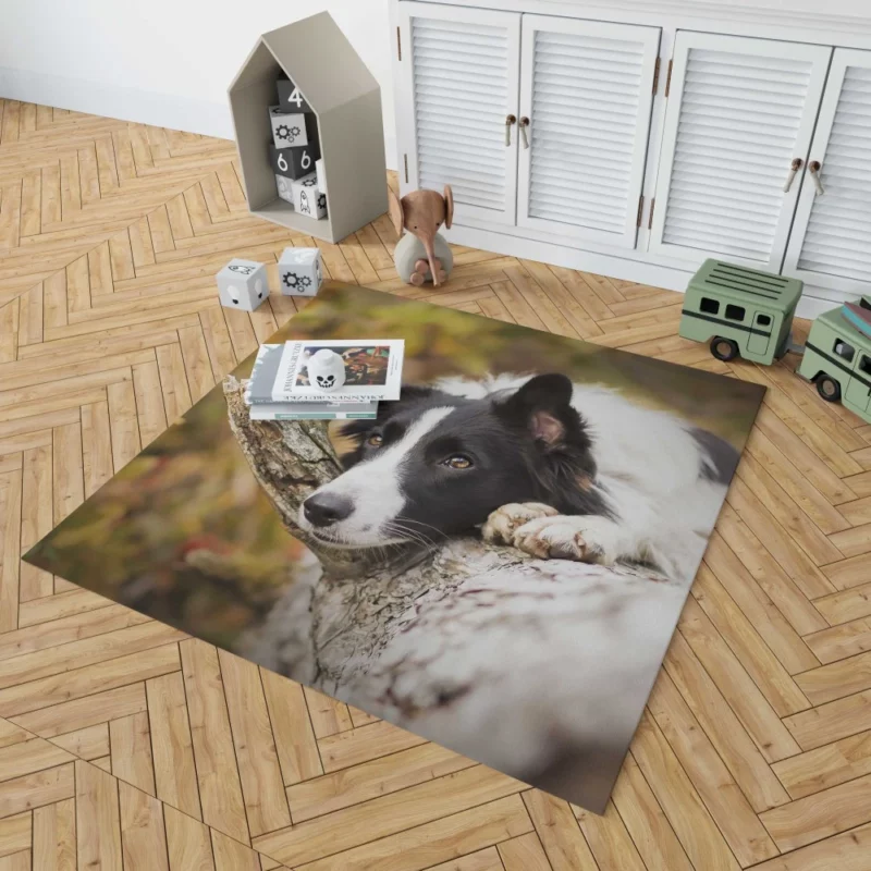 Cute Border Collie Rug 1